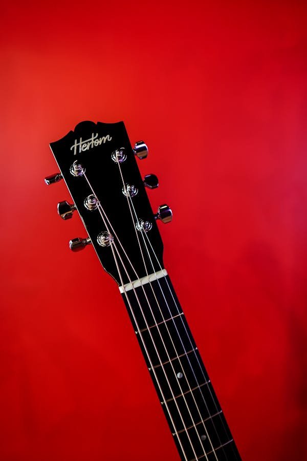 Explorez la gamme exceptionnelle d'instruments à reims